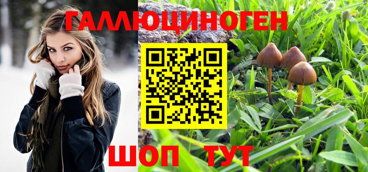 купить  цена  Вход с VPN  Воткинск  Галлюциногенные грибы Magic Shrooms 